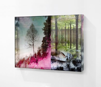 Verk av Lars Joergen Jonsson: Trees