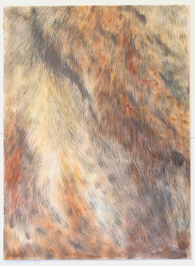 Fissures